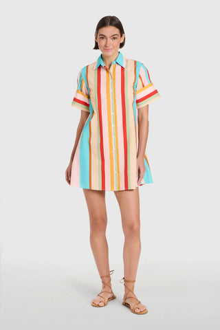 DOCK DRESS, AMBERLINE STRIPES